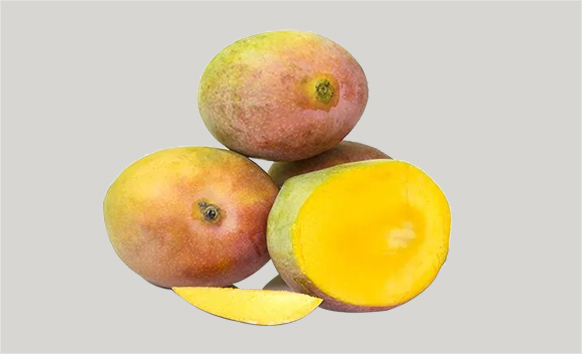 sindhura-mangoes